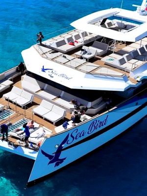 Blue & Crystal Lagoon y Cuevas - Sea Bird